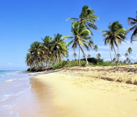 Caribbean dominican republic 780382 1920