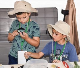 Family and Multigenerational Travel little archaeologists 2605285 1920