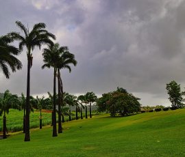 Caribbean nature 6664561 1920