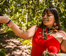 South America pexels billsalazar 27010816