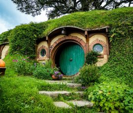 Australia New Zealand & Oceania pexels donovan kelly 110228397 17824134