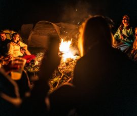 North America pexels fedetoom 33411954