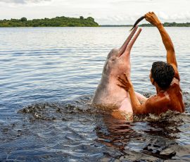 South America pexels lu62 9227692