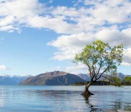 Australia New Zealand & Oceania pexels mastercowley 2463951