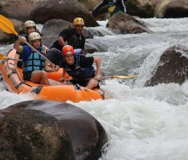 South America pexels nath haubricht 2144474244 29441891