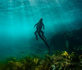 South America pexels nico marin 703142244 35013897