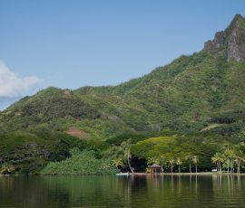 Australia New Zealand & Oceania pexels tracvu 35255954