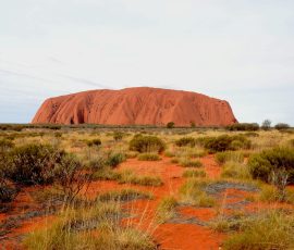 Australia New Zealand & Oceania pexels will mcallister 2149329396 30553837