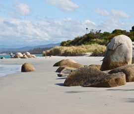 Australia New Zealand & Oceania tasmania 701177 1280