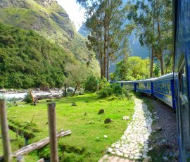 South America train 43371 1920