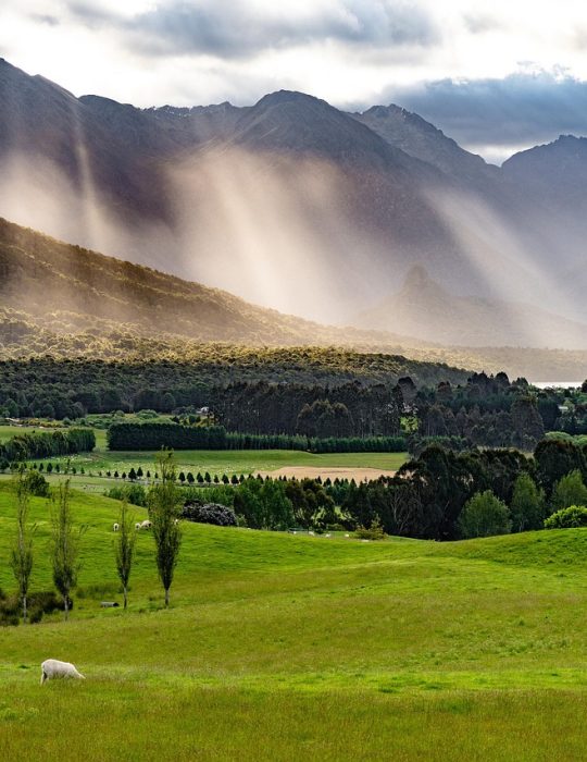 pasture 5207222 1280