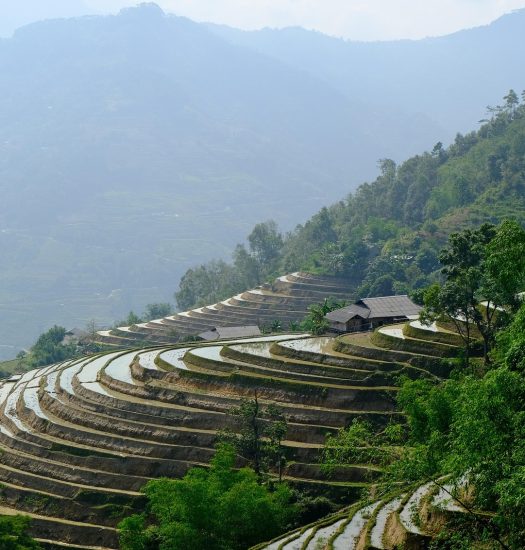 terraces 8844674 1920